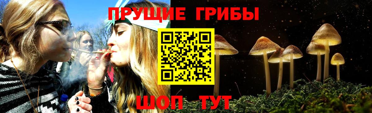 Галлюциногенные грибы Magic Shrooms  Вход с VPN  Каменск-Шахтинский  Галлюциногенные грибы GOLDEN TEACHER 